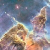 AuroraRose