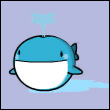 bguy