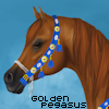 GoldenPegasus