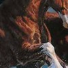 InvisibleHorse